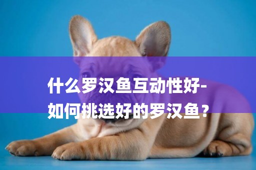 什么羅漢魚互動性好-
如何挑選好的羅漢魚？