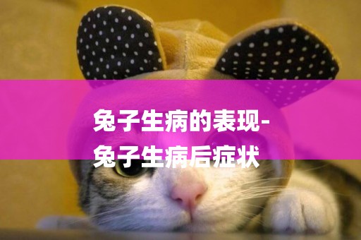 兔子生病的表現-
兔子生病后癥狀