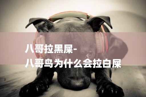 八哥拉黑屎-
八哥鳥為什么會拉白屎