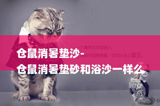 倉鼠消暑墊沙-
倉鼠消暑墊砂和浴沙一樣么