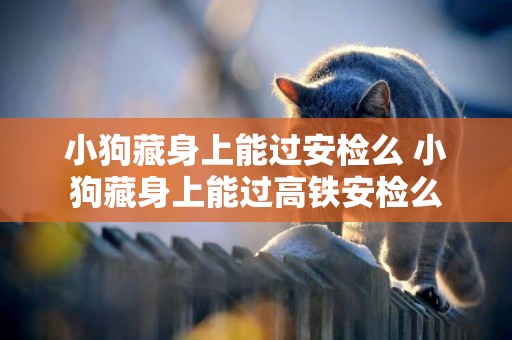 小狗藏身上能過安檢么 小狗藏身上能過高鐵安檢么