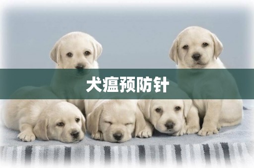 犬瘟預防針