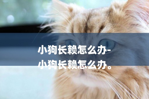 小狗長賴怎么辦-
小狗長賴怎么辦。