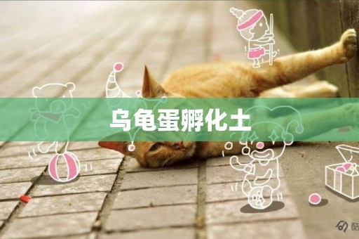 烏龜蛋孵化土