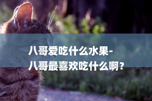 八哥愛吃什么水果-
八哥最喜歡吃什么啊？