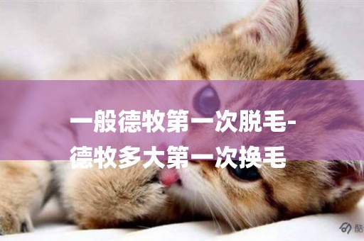 一般德牧第一次脫毛-
德牧多大第一次換毛