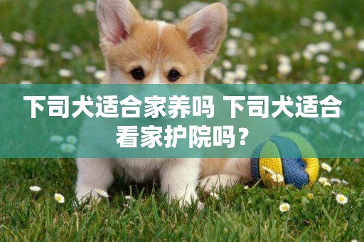 下司犬適合家養嗎 下司犬適合看家護院嗎？