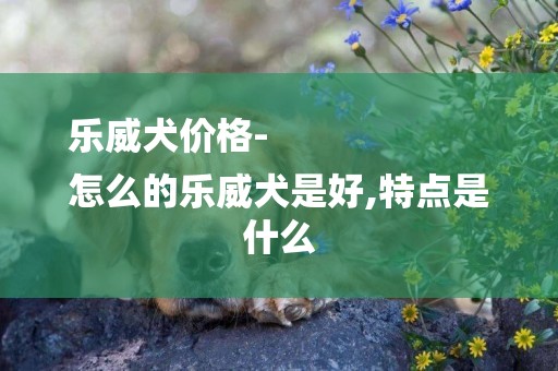 樂威犬價格-
怎么的樂威犬是好,特點是什么