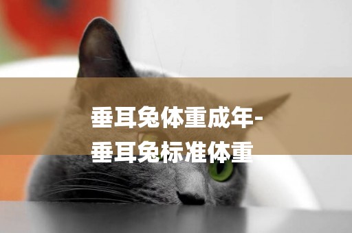 垂耳兔體重成年-
垂耳兔標準體重