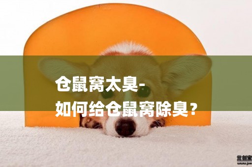 倉鼠窩太臭-
如何給倉鼠窩除臭？