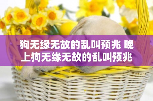 狗無緣無故的亂叫預兆 晚上狗無緣無故的亂叫預兆
