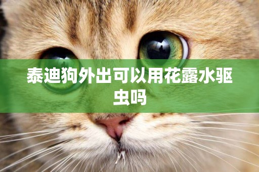 泰迪狗外出可以用花露水驅蟲嗎