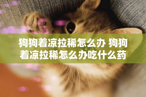 狗狗著涼拉稀怎么辦 狗狗著涼拉稀怎么辦吃什么藥