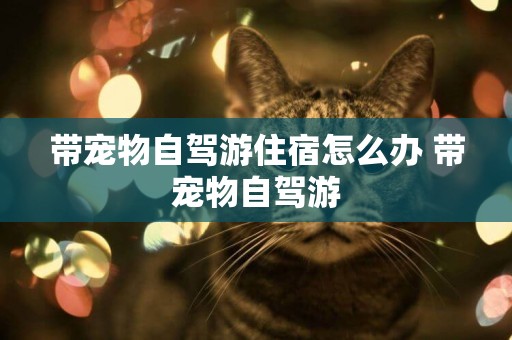 帶寵物自駕游住宿怎么辦 帶寵物自駕游