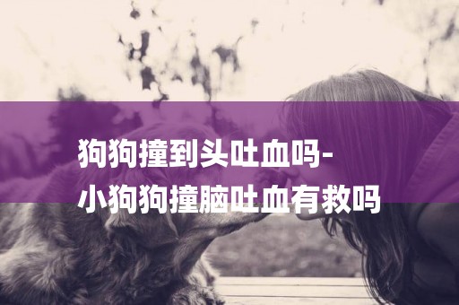 狗狗撞到頭吐血嗎-
小狗狗撞腦吐血有救嗎