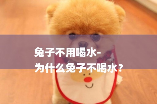 兔子不用喝水-
為什么兔子不喝水？