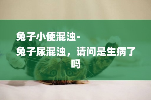 兔子小便混濁-
兔子尿混濁，請問是生病了嗎