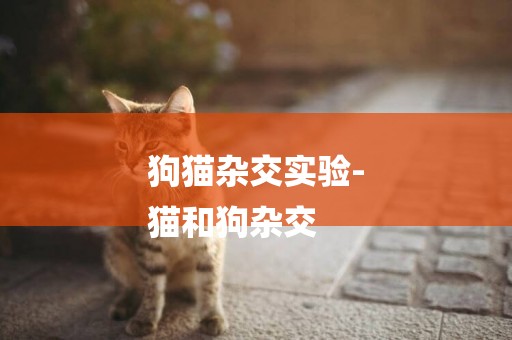 狗貓雜交實驗-
貓和狗雜交