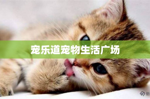寵樂道寵物生活廣場