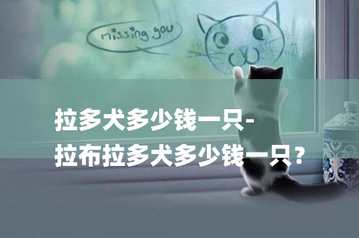 拉多犬多少錢一只-
拉布拉多犬多少錢一只？