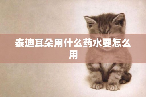 泰迪耳朵用什么藥水要怎么用