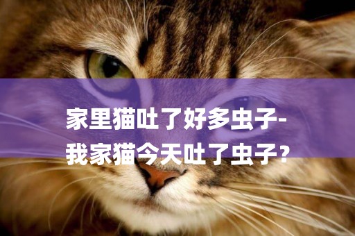 家里貓吐了好多蟲子-
我家貓今天吐了蟲子？