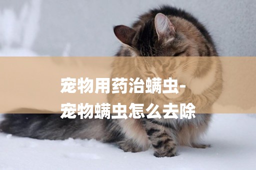 寵物用藥治螨蟲-
寵物螨蟲怎么去除