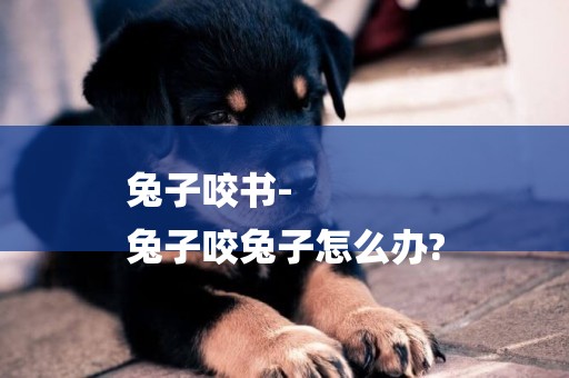 兔子咬書-
兔子咬兔子怎么辦?