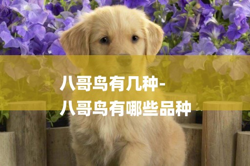 八哥鳥有幾種-
八哥鳥有哪些品種