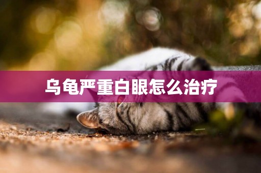 烏龜嚴重白眼怎么治療