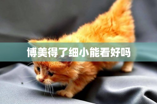博美得了細小能看好嗎