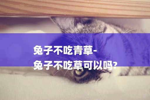 兔子不吃青草-
兔子不吃草可以嗎?