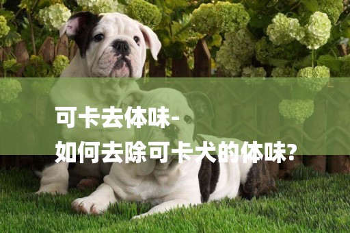 可卡去體味-
如何去除可卡犬的體味?