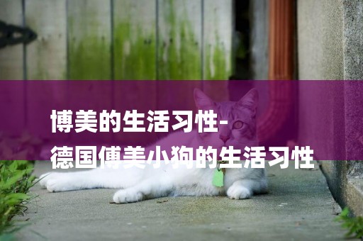 博美的生活習性-
德國傅美小狗的生活習性