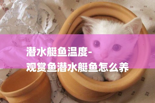 潛水艇魚溫度-
觀賞魚潛水艇魚怎么養