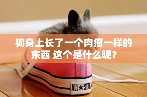 狗身上長了一個肉瘤一樣的東西 這個是什么呢？