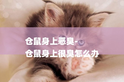 倉鼠身上惡臭-
倉鼠身上很臭怎么辦