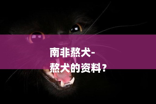 南非熬犬-
熬犬的資料？