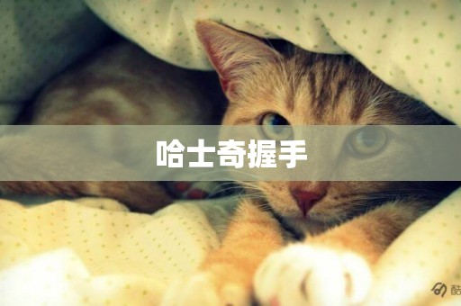 哈士奇握手