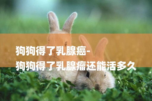 狗狗得了乳腺癌-
狗狗得了乳腺瘤還能活多久
