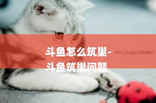 斗魚怎么筑巢-
斗魚筑巢問題