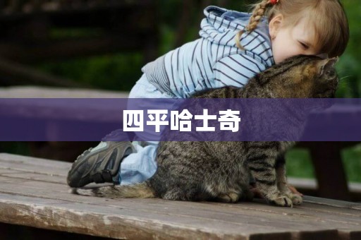 四平哈士奇