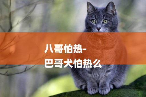 八哥怕熱-
巴哥犬怕熱么
