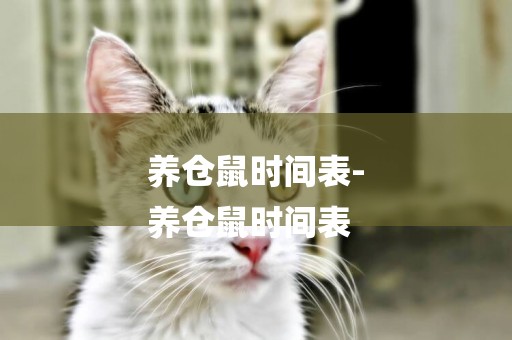 養倉鼠時間表-
養倉鼠時間表