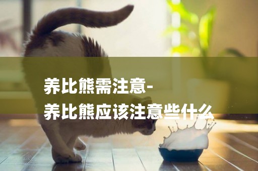 養比熊需注意-
養比熊應該注意些什么