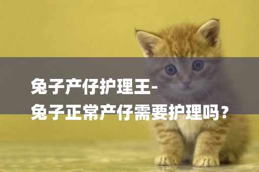 兔子產仔護理王-
兔子正常產仔需要護理嗎？