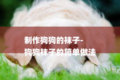 制作狗狗的襪子-
狗狗襪子的簡單做法