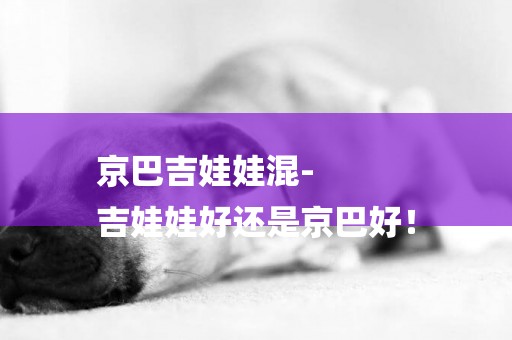 京巴吉娃娃混-
吉娃娃好還是京巴好！