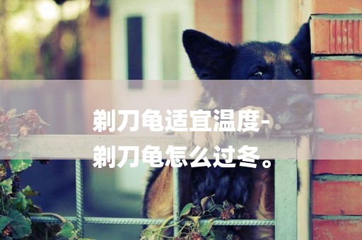 剃刀龜適宜溫度-
剃刀龜怎么過冬。