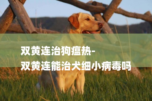 雙黃連治狗瘟熱-
雙黃連能治犬細小病毒嗎